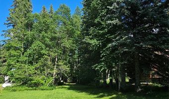 22747 Mt Highway 83, Bigfork, MT 59911