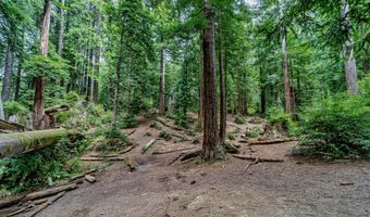 E 16th Street, Arcata, CA 95521