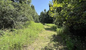 179 Little River 67 Rd, Ashdown, AR 71822