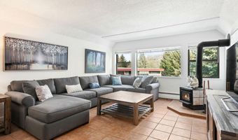 1021 VINE St, Aspen, CO 81611