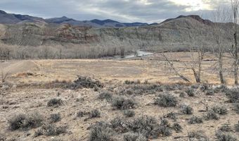 1111 Buckskin Run, Challis, ID 83226