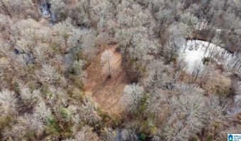BRUSH CREEK DRIVE lot 0, Akron, AL 35441