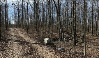 4872 Deer Run Rd, Altamont, TN 37301
