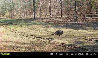 00 Cypress Lake Rd, Beebe, AR 72012