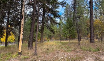 Nhn Harlow Road, Thompson Falls, MT 59873