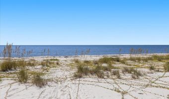 1125 Alligator Dr, Alligator Point, FL 32346