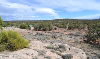 32 N8544 398, Concho, AZ 85924