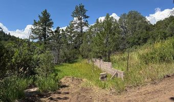 TBD-2 Vine Mesa Ave, Beulah, CO 81023