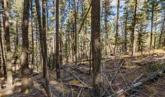 Back Basin Rd lot 145, Angel Fire, NM 87710