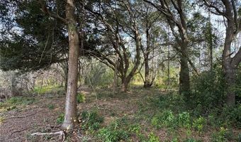 Lot 2 KEENE ROAD, Altoona, FL 32702