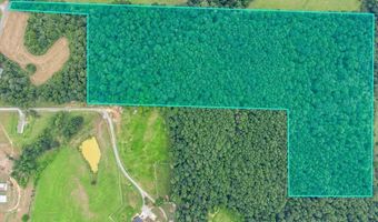2495 County Road 1564, Baileyton, AL 35019