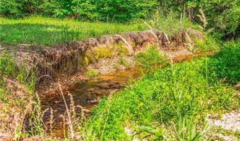 157 Buttercup Ln, Ararat, NC 27007