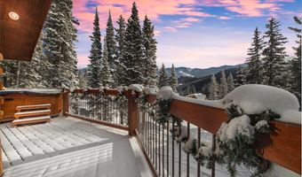 229 Lee Ln, Breckenridge, CO 80424