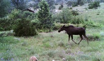 Tbd Gold Creek Way, Belfry, MT 59008