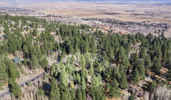 240 Forest Hill Way, Gardnerville, NV 89460