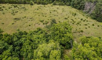 Co Rd 539, Ava, MO 65629