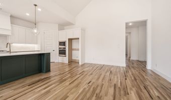 910 Sandpiper Dr, Aledo, TX 76008