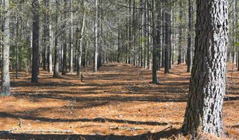 707 Mt Ebal Rd, Batesburg, SC 29006