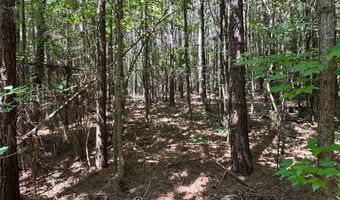 0 Highway 140 Tract D NW, Adairsville, GA 30103