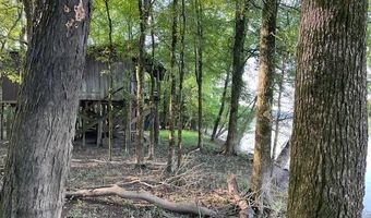 00 Duncan Bend Trl, Bald Knob, AR 72006