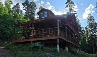 1407 Clarke Mountain Ln, Antonito, CO 81120