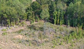 Cr 816, Blue Mountain, MS 38610