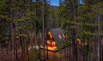293 Regal Cir, Breckenridge, CO 80424