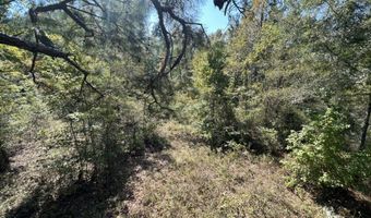 0 John S Horton, Adrian, GA 31002
