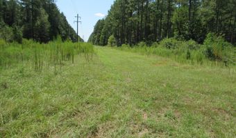 0 Bash Blackwell Rd, Collins, MS 39428