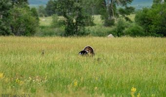 287 Spring Creek Rd, Absarokee, MT 59001