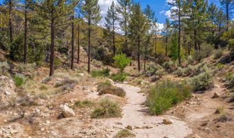 60833 Table Mountain Rd, Mountain Center, CA 92561