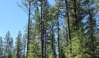 NNA Lot 4 TJ Trail, Athol, ID 83801