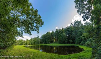 596 Joseph Chadderdon Rd, Acra, NY 12405