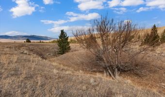 NHN Homestead Creek Drive, Anaconda, MT 59711