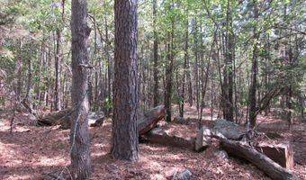 Tract 52 E 1885 Road, Antlers, OK 74523