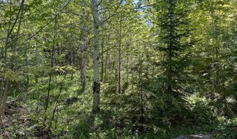 Gratiot River Road lot A, Allouez, MI 49805