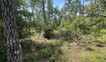 Holly Springs Avenue, Alford, FL 32420
