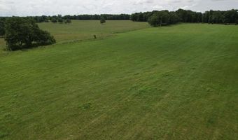 Tract 1 0000 Private Road 1184, Aurora, MO 65605