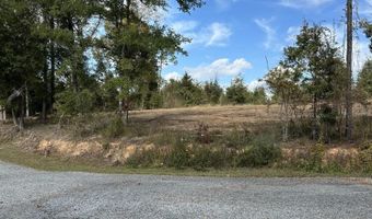 Lakeshore Drive lot 1 & 2, Alford, FL 32420