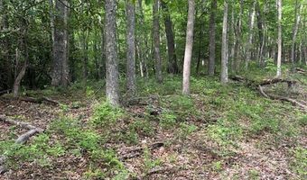 Tbd Brookstone Rd, Bastian, VA 24314