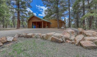 1969 Lake Forest Cir, Pagosa Springs, CO 81147