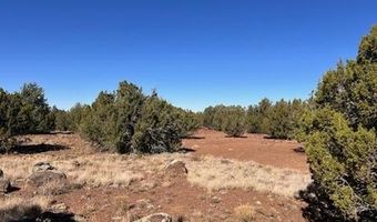 44 County Road 8114, Concho, AZ 85924