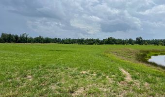 420 Sheffield Rd, Adamsville, TN 38310