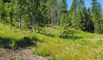 NNA Enchanted Lane # 3, Bonners Ferry, ID 83805