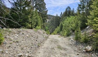 Nhn Lost Creek Rd, Anaconda, MT 59711