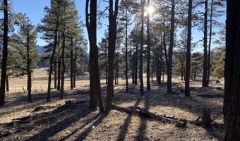 1 A FOREST ROAD 26, Alpine, AZ 85920