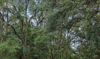 3670 25th Cir, Bell, FL 32619