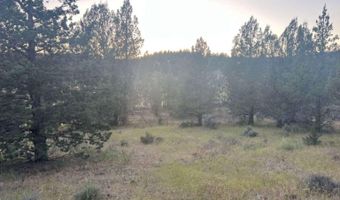 639 Pheasant Dr, Alturas, CA 96101