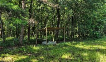 NW 218TH LANE, Alachua, FL 32615