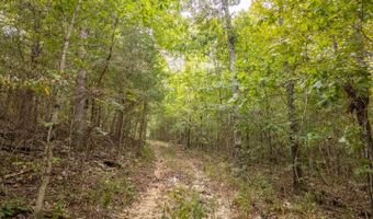 229 County Road 314, Alton, MO 65606